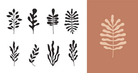 Abstract Botanical Wall Art, Contemporary art prints with abstract leaves. Nordic, Scandinavian Boho botanical drawings , postcard or brochure designのイラスト素材