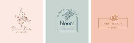 Collection of Botanical Minimalistic, Feminine  with Organic Plant Elementsのイラスト素材
