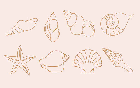 Bohemian linear logos, icons and symbols, sea, ocean, beach and surfing. Sun, seashell and palm design templates, geometric abstract design elements for decorationのイラスト素材
