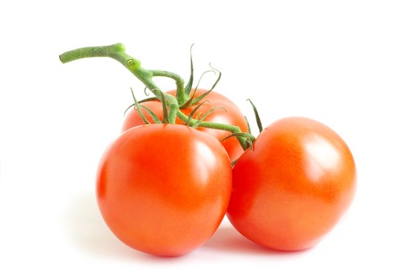 branch of tomato isolated over white backgroundの写真素材