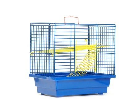 cage isolated on the white backgroundの写真素材