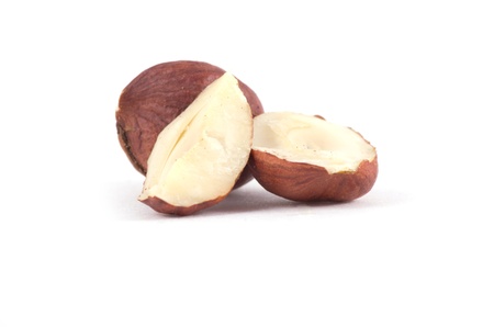 Hazel nut isolated on white background