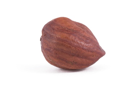 Hazel nut isolated on white background