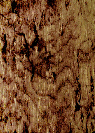 Vintage background with space for textの写真素材