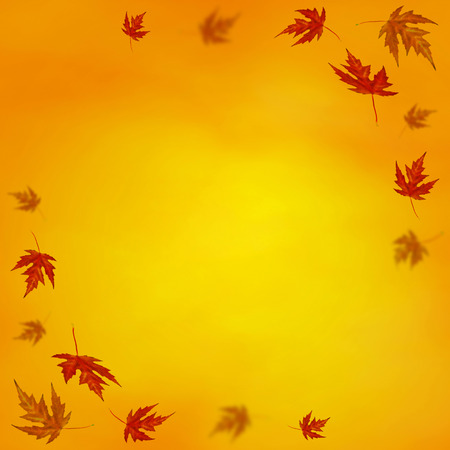 Autumn backgroundの写真素材
