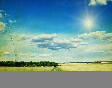 Green field, blue sky and sunの写真素材