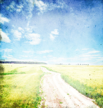 Fields of wheat at the end of summerの写真素材