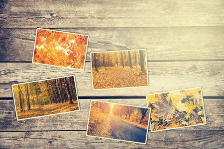 Surface of old boardsの写真素材