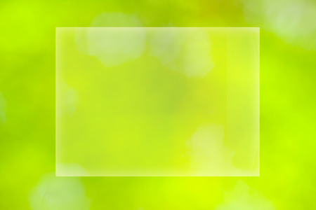 Sunny abstract green nature background, selective focusの写真素材