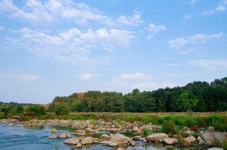 Wild river in forest