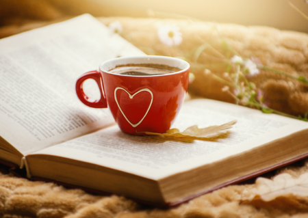 Hot coffee in the background of a window and autumn nature.の写真素材