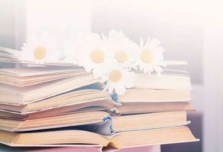 Chamomile flowers on books