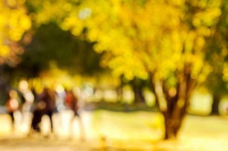 Autumn golden park, blurred background.の写真素材