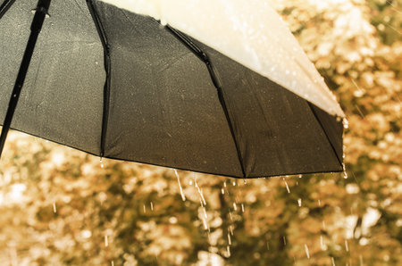 umbrella and rain drops