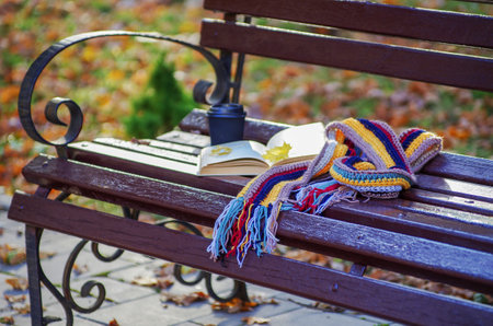 Book and scarf on wooden bench in autumn park.の写真素材
