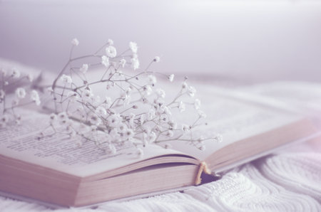 Cozy winter still life opened book. blurredの写真素材