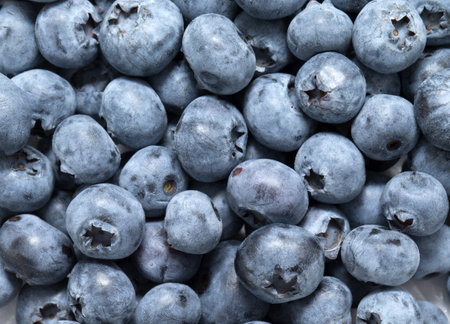 fresh blueberry background. Texture blueberry berries close upの写真素材
