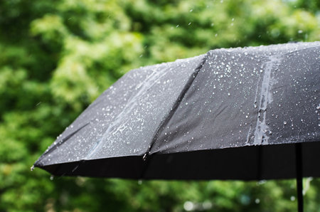 umbrella and rain dropsの写真素材