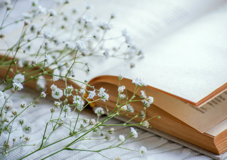Cozy winter still life: opened book.の写真素材