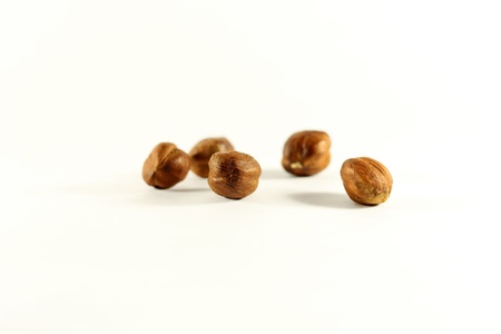 Hazelnutの写真素材