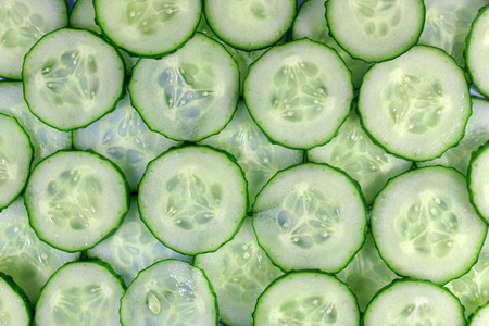 Cucumber Backgroundの写真素材