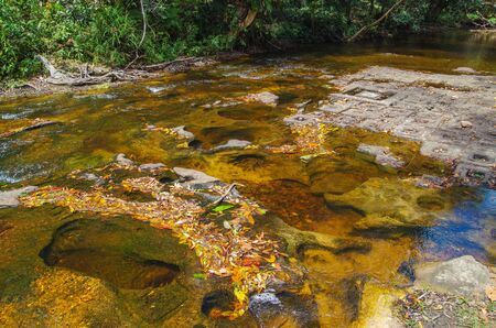 Valley of a thousand Lingas. Figures of Yoni, Linga and other figures carved into the rocks of the riverbed Kbal Spean. Sacred place for Hindus and Buddhists. Cambodia, near Angkor, Phnom Kulen Nationの写真素材