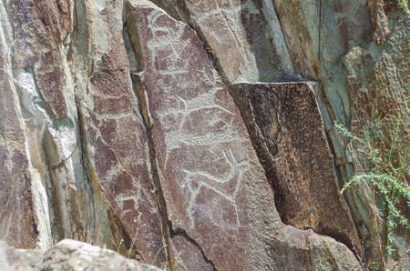Petroglyphs (carved rock images) of ancient sanctuary of Adyr-Kan. Nature and travel. Russia, Altai Republic, Ongudaysky Districtの写真素材