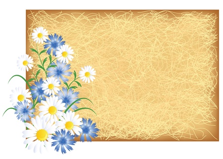 Grunge background with chamomiles and cornflowersのイラスト素材