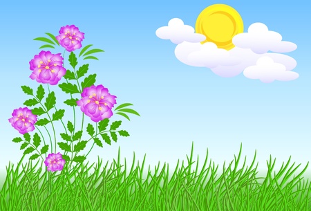 Meadow flowers and sunのイラスト素材