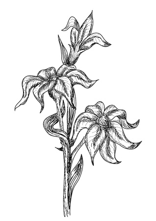 Flowers in retro styleのイラスト素材