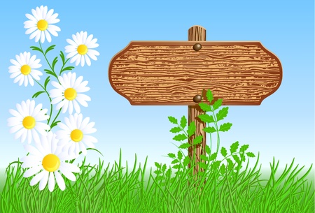 Wooden signboard on the meadow with daisiesのイラスト素材