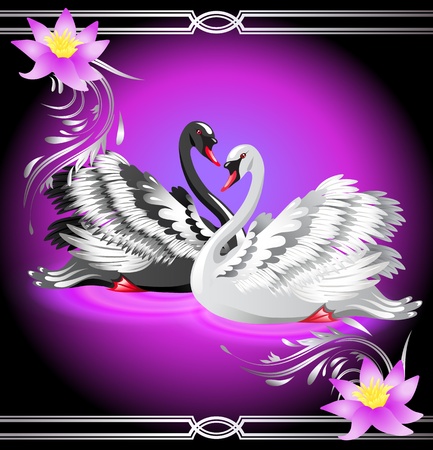 Elegant white and black swan on violet background with liliesのイラスト素材