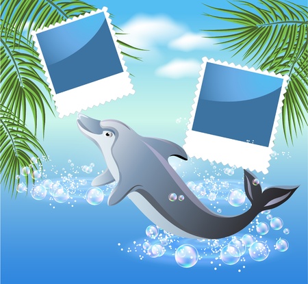 Palm, dolphin and photo frameのイラスト素材