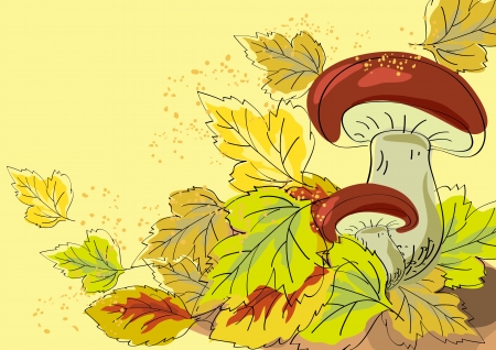 Mushroom and autumn leaves on a white background.のイラスト素材