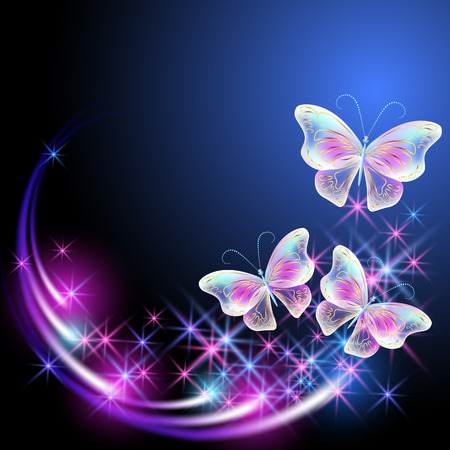Butterflies with glowing firework and sparkle stars.のイラスト素材