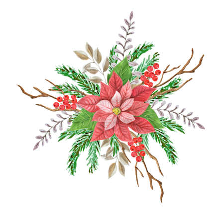 Christmas decorative composition with poinsettia red star, greenery, spruce, pine tree twig and holly berries. New Year design for card. Element Isolated on white background.の写真素材