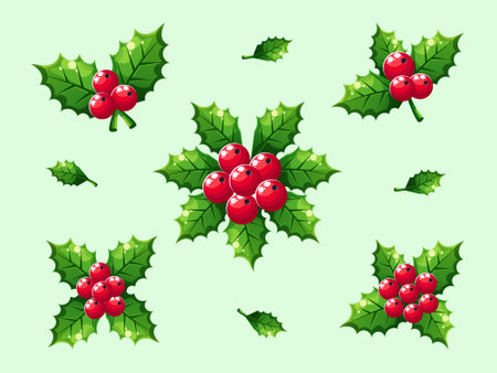 Christmas holly berry set isolated vectorのイラスト素材