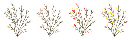 colorful spring twigs set with swollen buds isolated on white backgroundのイラスト素材