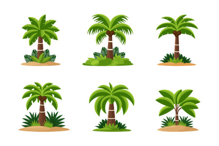 palm tree set flat vector illustration isolated on white background.のイラスト素材