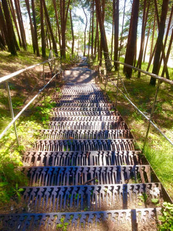 down the stairsの写真素材