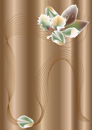 An elegant drawing with curved lines and autumn leaves for design.の写真素材
