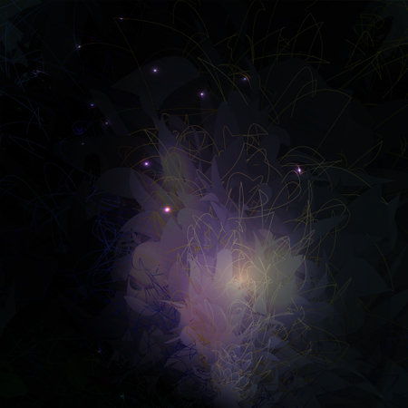 Abstract bouquet with sparkles on a dark background.の写真素材