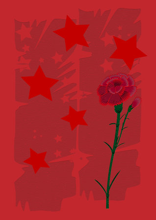 Red carnation on the background of stars and irregularly shaped elements.の写真素材