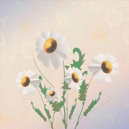 Bouquet of white daisies with green leaves.の写真素材