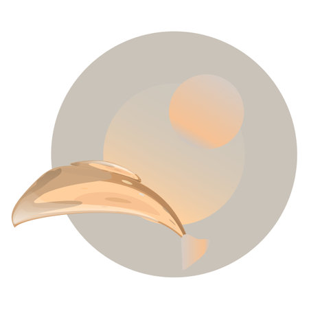 Dolphin and Sun. For websites, print.のイラスト素材