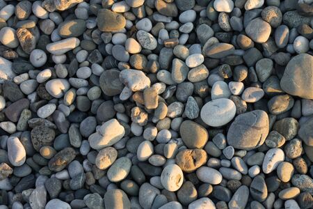 multi-colored sea pebbles of different sizes and shapes