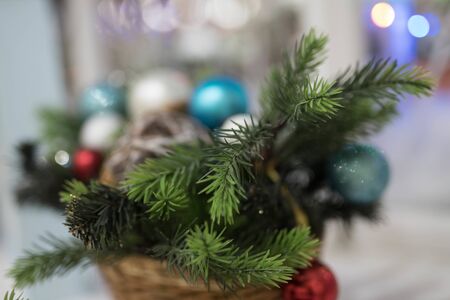 Christmas decor - green spruce branch, large Christmas ballsの写真素材
