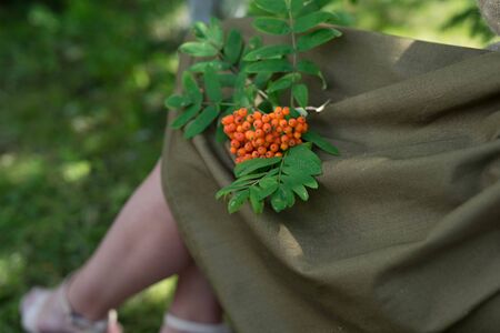 womens jewelry on the neck, hands from natural materialsの写真素材