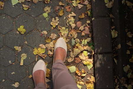 legs walking along a path strewn with yellow leaves ... autumnの写真素材