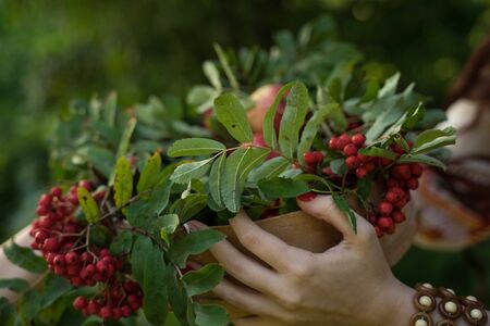 Russian-folk style girl: costume, kokoshnik with rowan and applesの写真素材